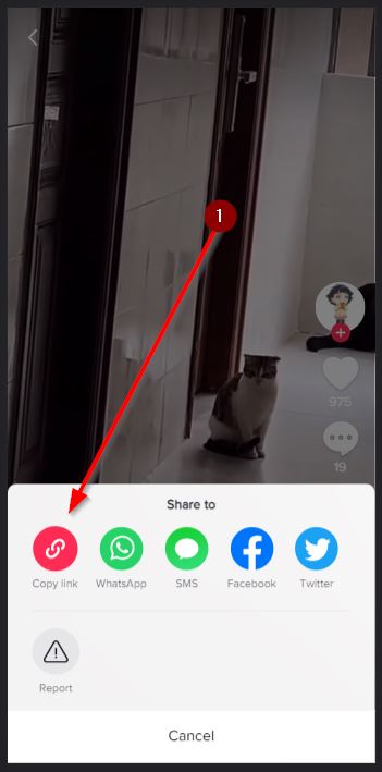 cara download video dan sound tiktok